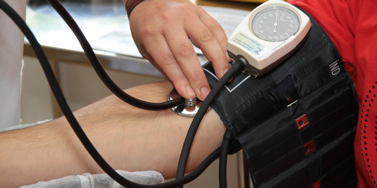 Hypertension : cet organe fantôme vous redonne le contrôle