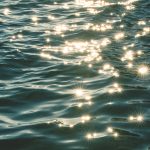 2019 : La sagesse de l’eau