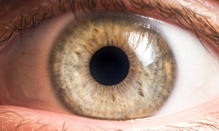 Alzheimer : vos yeux peuvent-ils voir venir la maladie ?