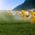 Une guerre souterraine vous prive de ce nutriment vital