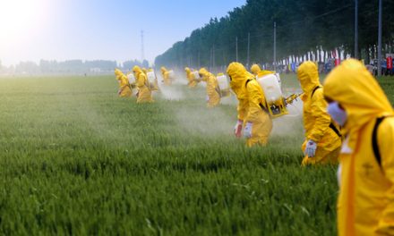 Une guerre souterraine vous prive de ce nutriment vital