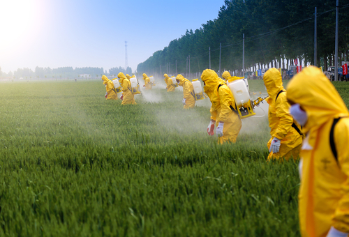 Une guerre souterraine vous prive de ce nutriment vital