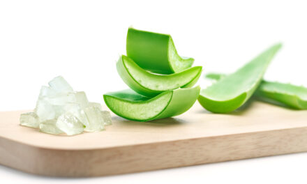 Aloe Vera : une vieille crème pour une peau jeune