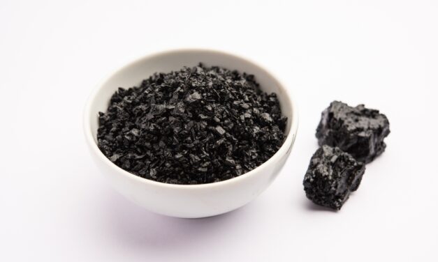 Le point commun entre Teddy Riner et le Dalaï-Lama