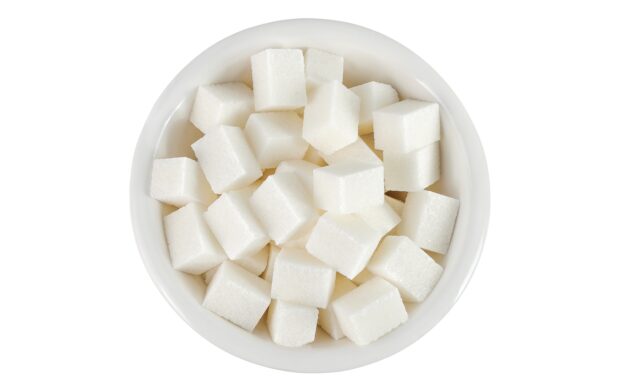 Sucre : La stupéfiante expérience