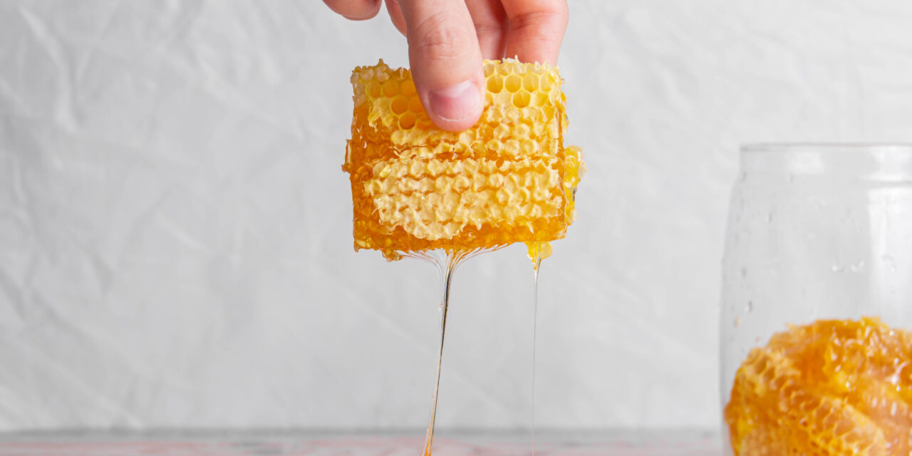 Gelée Royale : Astérix chez les abeilles