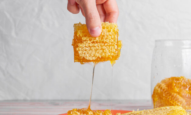 Gelée Royale : Astérix chez les abeilles