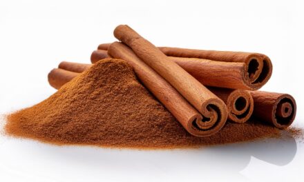 La cannelle : paradis des papilles… et cauchemar des parasites