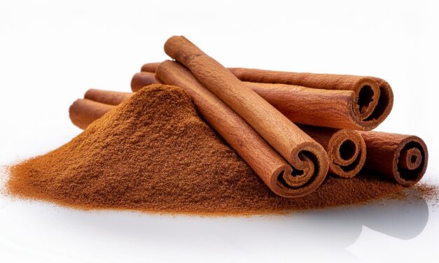 La cannelle : paradis des papilles… et cauchemar des parasites