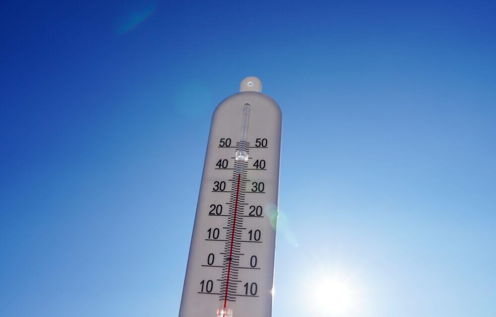 TROP CHAUD ? Les bons réflexes pour tenir le coup.