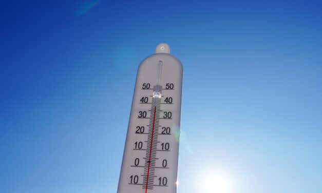 TROP CHAUD ? Les bons réflexes pour tenir le coup.
